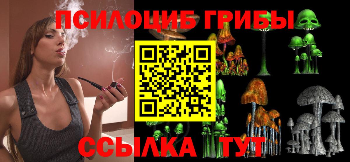 Псилоцибиновые грибы прущие грибы Долгопрудный
